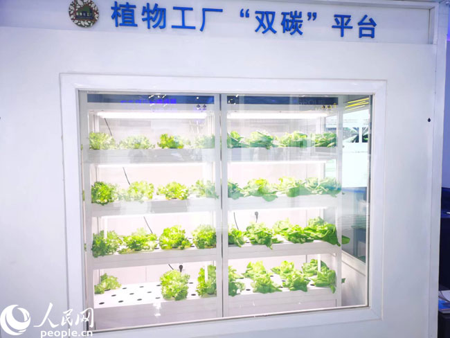 財經觀察 激發(fā)創(chuàng)新源頭活力，科技賦能數字內容，讓生活更精彩